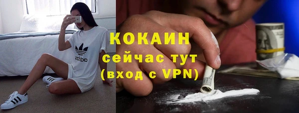 сатива Аркадак