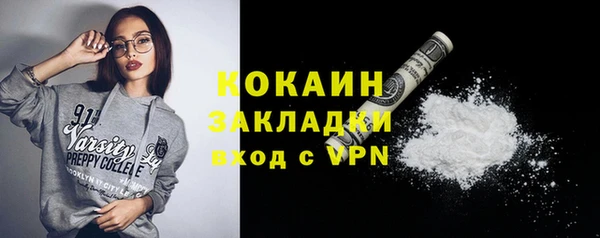 сатива Аркадак