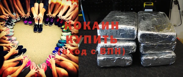 сатива Аркадак