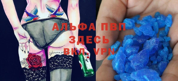 сатива Аркадак