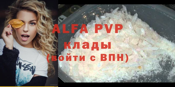 сатива Аркадак