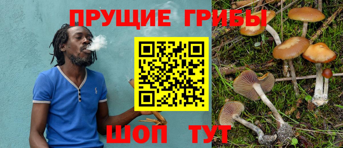Псилоцибиновые грибы Psilocybine cubensis Арзамас