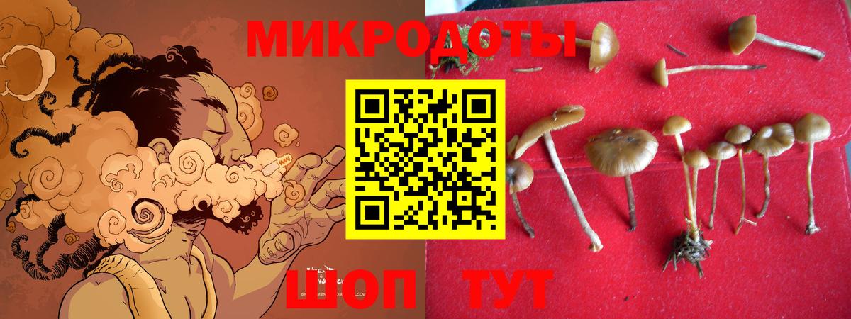 Галлюциногенные грибы MAGIC MUSHROOMS  сколько стоит  Арзамас  Вход с VPN  Псилоцибиновые грибы прущие грибы 